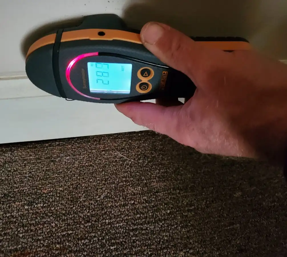 Moisture detection at baseboard during Sewage Cleanup & Sanitation in Eaton Rapids